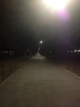 a lit path